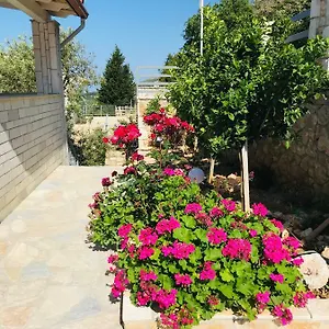 Vila Milo Apartamento Vuno